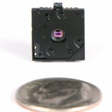 LEPTON? 2.5