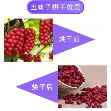 ζӷɺɻ ζӺɷ ɱһ״