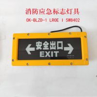 海洋王LROEI5W8402防爆消防应急标志灯具 BXE8401指示灯