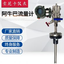 阿牛巴流量计 热风煤烟气流量计 笛型管流量计 插入式巴类流量计