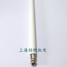 BTG28ȼջ缫 ٵBalturȼ  ԭװ