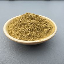 ù