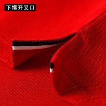 pؼ޶乤tƴCI(y)poloVĻlogo