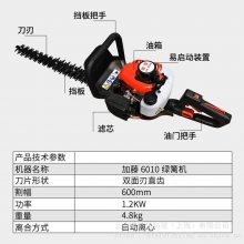 6010ͲҶ޼֦֦԰̻޼ɲ