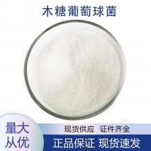 木糖葡萄球菌 益生菌 多种规格 现货 1kg起批 粉末流动性