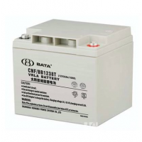 BATA豴FM/BB1233T 12V33AH