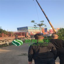 տ  ʯ ̻ľ