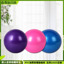 PVC瑜伽球65cm加厚防爆55cm健身球 儿童训练波速大龙球孕妇平衡球