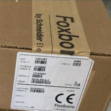 FOXBORO絼ʵ缫/PH/̽ͷ871EC-TF2-34V,873PH-BIP
