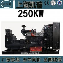 ֿ 250KW ͭˢͬ俭ղͻKP13G355D2