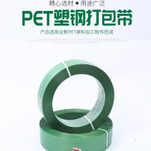 PETִܸ1608 ӡжϲɫϰװô