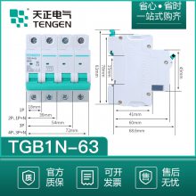 TENGEN天正小型断路器TGB1N-125C型1P 2P 3P4P 80A 100A 12***空开