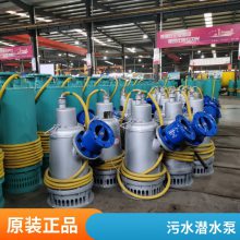 工厂使用 BT4潜水泵 防爆污泥泵 加油站排污泵WQB25-22-4千瓦安泰380