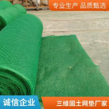 麦克加筋垫 EM3三维植被网 世杰植草固土网垫 用于促植物生长