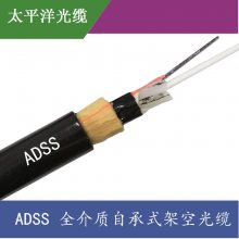 ADSS-24B1-100-PEȫԳʽܿչ ֱ ǽܿչ̫ƽƷ ·