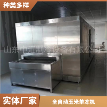 定制高效板带速冻机 TYW-350/550 休闲食品厂设备 SUS304不锈钢