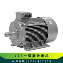 YE5一级能效电机 YE5-355M2-8 八极160KW 减速机渣浆泵等通用电动机