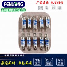 芬隆科技RGS11快速熔断器