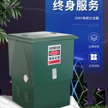 10KV带避雷器电缆分支箱35kv带开关电缆分支箱