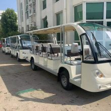 利凯士得电动景区观光车，豪华座椅电动观光车，不带门电动观光车