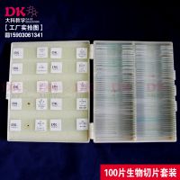 ֱ 100ƬƬװ