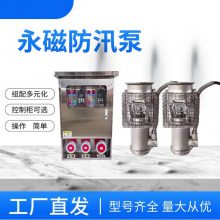 永磁变频防汛泵防洪抢险排涝泵不锈钢轻便型大流量潜水轴流泵