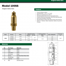 KINGSTONȫy100SS-1-050Ӳy ʳƷϷ