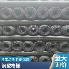 黑色聚丙烯PP土工格栅工程道路基加筋固护坡挡土双向塑料格栅
