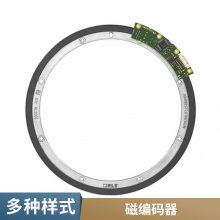 RLS ܱ Renishaw AKSINM-2ϵ ˹ؽ 뵼豸