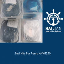 Seal Kits For Pump A4VG250 hydraulic pumps