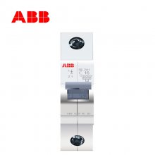 ABB SD202 ΢Сͼö·˫2P 16-100A