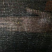 ֳ ֲ߲ɹ ũɹ 