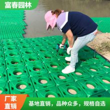 人工浮岛植物 水面绿化工程 河道治理生态浮 岛 观赏浮床