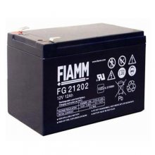 FIAM***M FG21703 12V17AH ֱ UPSϵԴ