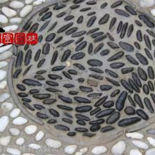 广东深圳鹅卵石基地 自然铺路杂色鹅卵石 5-8公分抛光鹅卵石