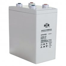 ˫ GFM-800 ά2V800AH ӦõԴ UPSֱ