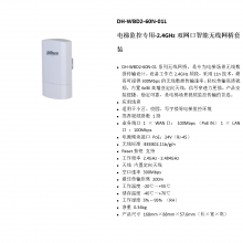  DH-WBD2-60N-01L 2.4GHz˫װ