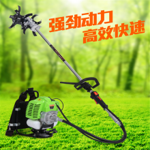 ĳͳݻ ũСͳػ ˸ĳݻ