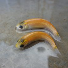  ˹˿  Ŀ 