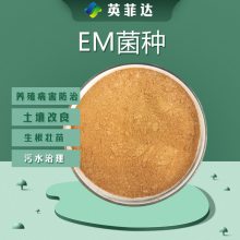 EM菌粉山东济宁供应微生物菌剂EM菌粉水产农业