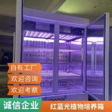 新励顶置LED红蓝光低温人工气候箱 隔板式光照培养箱