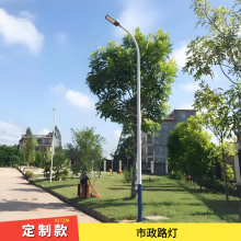 齐齐哈尔路灯厂 市政工程款型 单臂路灯 金豆造型铸铝灯具