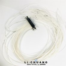 矩形连接器 J29A-51TJL-A-400MM J29A-51ZKP-A-300MM 骊创