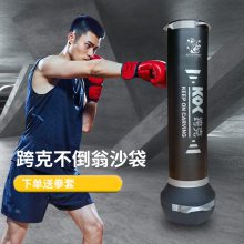 不倒翁沙袋拳击成人儿童立式家用训练器材反应靶沙包