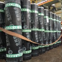 sbsˮ4mm SBSˮ3mm ݶˮ