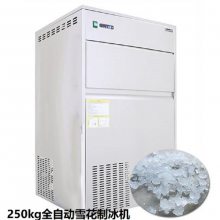 250kgȫ�Զ�ѩ���Ʊ�������ѩ���Ʊ���ѩ�������Ʊ���