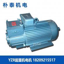 YZR 160L-6-13KW ұػ S4 ص