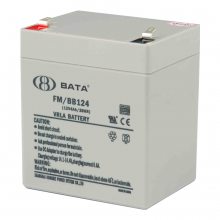 鸿贝BATA蓄电池FM/BB124 12V4AH/20HR应急照明 电动童车 型号说明