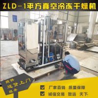 保健品低温真空冷冻干燥机 桑葚冻干设备 水果脆片冷冻干燥机