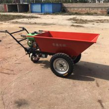 ƻҶ 綯ֳ ж שƽ׳